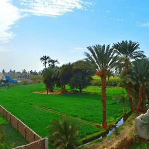 https://farida-apartments.hotels-luxor-egypt.com